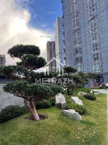 Київська область, Київ, Голосіївський