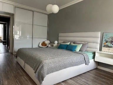 Київська область, Софіївська Борщагівка