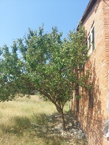 Сдам Дом Славянск