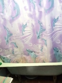 Київська область, Київ, Дарницький