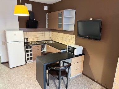 Зарічний! Стильна студія. Будинок з генератором