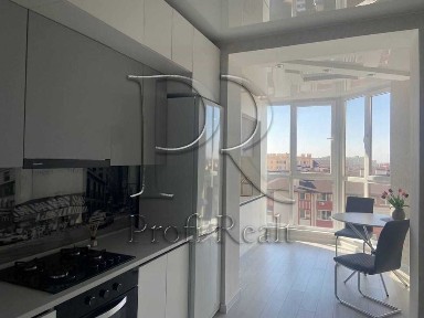 Київська область, Софіївська Борщагівка