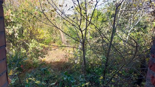 Київська область, Перемога