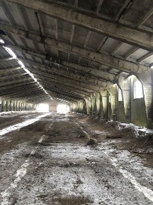 Клюшечник, зерносклад, ангар.