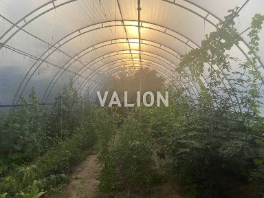 Продаж домоволодіння з можливістю ведення фермерського господарства!