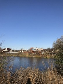 дом у озера, Глеваха, Мархалевка с мебелью, видовой