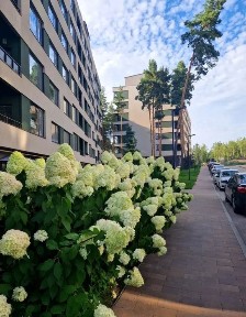 Двокімнатна квартира 70м2 Буча, Гостомель