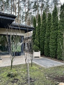 Купити будинок з ремонтом у лісовій Бучі