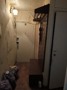 Житомирська область, Житомир, Польова