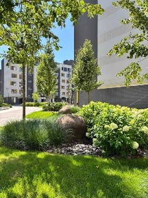 Київська область, Ірпінь