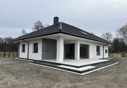 Пропонується до продажу стильний одноповерховий будинок площею 120 м²