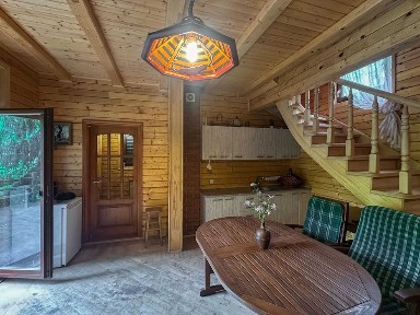 Продаємо затишний дерев'яний дачний будинок з ділянкою, дача, Липники