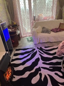 Житомирська область, Житомир, Центр