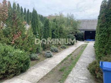 Здається в оренду просторий будинок у м. Виноградів, вул. Зарічна