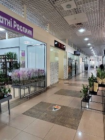 Оренда приміщення в ТЦ 32 кв. м. Бальзака 2а