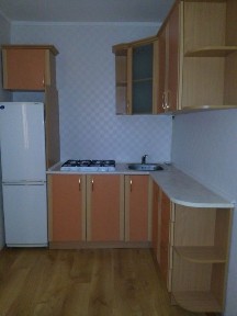 Здам 1-кімнатну квартиру в центрі