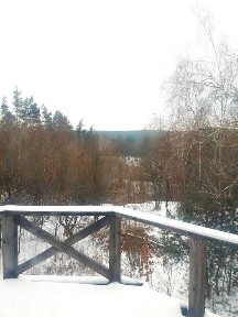 Комплекс с. Залізня 1,85га + 2 будівлі