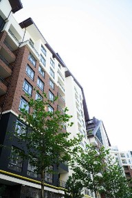 Київська область, Ірпінь