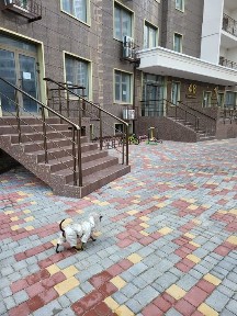 Сдам 2 цокільні приміщіння 58м2+58м2 580$+580$ Каманіна. 16а Аркадія.