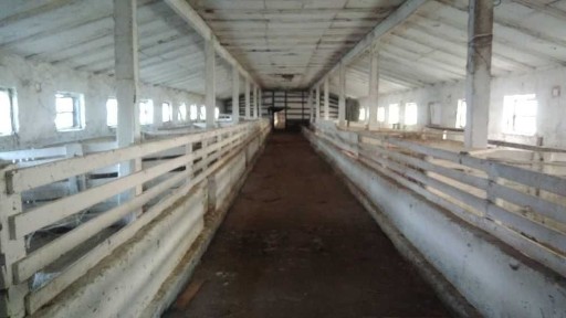 Київська область, Перегонівка