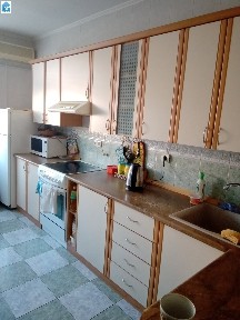 Аренда 2-комнатной квартиры 65 м², Ревуцкого ул., 44