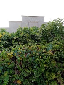 Продам будинок у СОГ