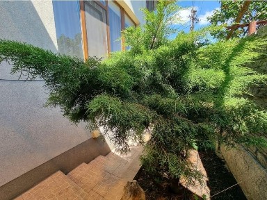 Свет! Есть! Всегда! Новострой. 3 х к кв. Левый берег. Риелторы не звон