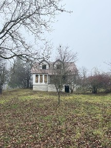 Будинок з великою ділянкою Косів