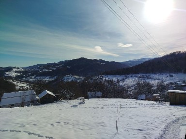 Будинок в Карпатах