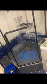 Здається 2х кімнатна в центрі