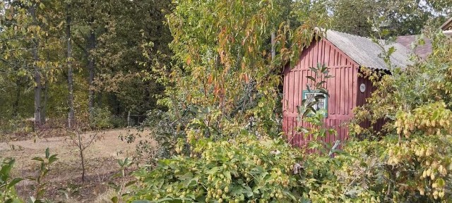 Дачний будинок садибного типу в 