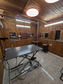 Кабинет для груминга