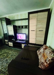 ЦЕНТР, вул. Центральна, подобово, погодинно Павлоград