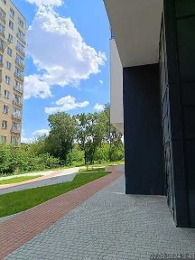 Львівська область, Львів, Шевченківський