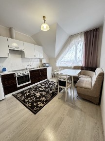 Оренда затишної однокімнатноі квартири в Боздош, Ужгород