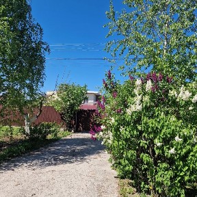 с. Мрія. Котедж біля Києва. Без комісійних