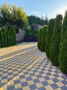 101/3 Будиночок зруб з лазнею та чаном