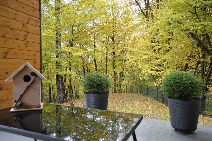 Лісовий ЕКО будинок подобово для відпочинку святкування біля Львова