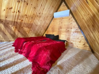 Київська область, Біла Церква