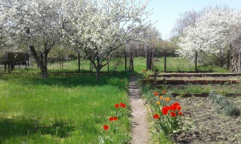 Дача роен Наталівки