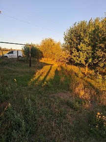 Продам дом в Ульяновке. Заходи и живи.