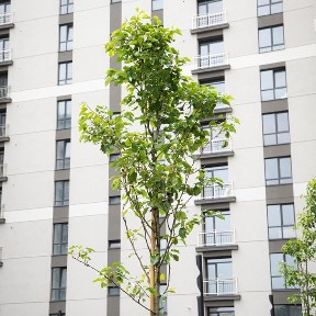 Однокімнатна квартира в готовому будинку на здачі