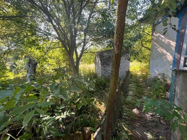 Будинок в с. Слобода Чернігівського району, Без комісії.