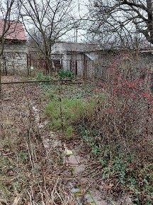 Продам дачу в Приднепровске, Чапли