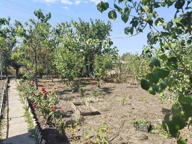 Продається дача в районі грензавод Первомайськ