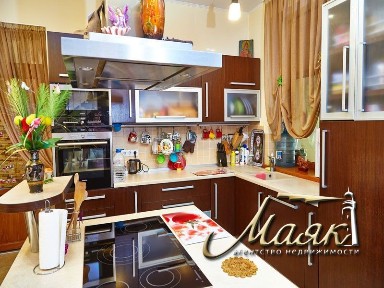 Дом с выходом к Днепру.