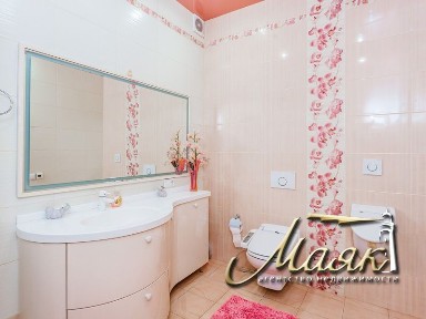 Предлагается к продаже замечательный дом с выходом к Днепру.