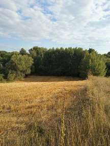 Продам будинок в с. Пугачівка