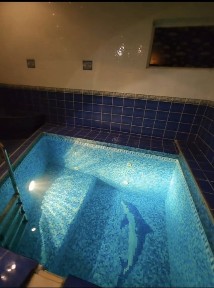 Дом для отдыха, мангал, баня, бассейн, бильярд