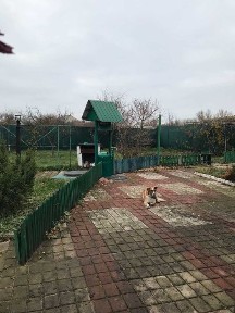 Продам дом Чугуев